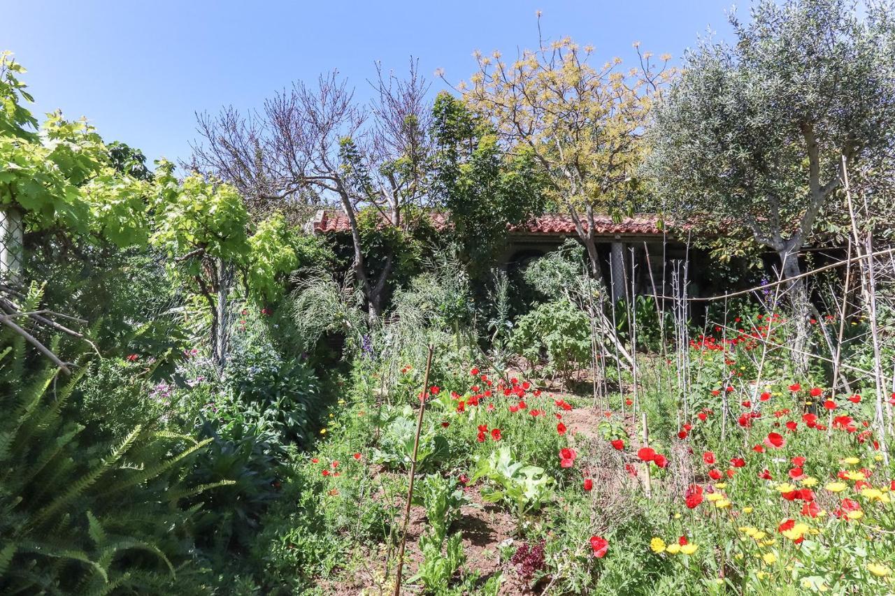 Guincho Garden Villa by Homing Aldeia de Juzo Exterior foto